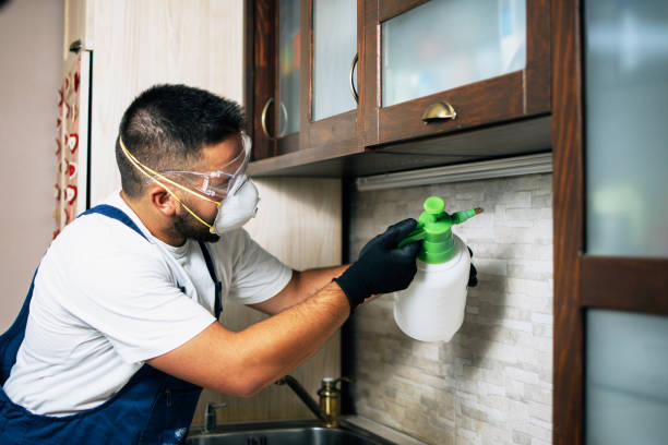 Best Pest Control for Homes  in Maury, NC