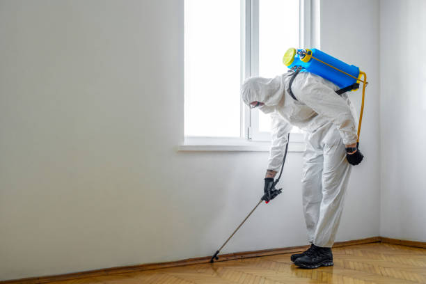 Best Ant Control Services  in Maury, NC