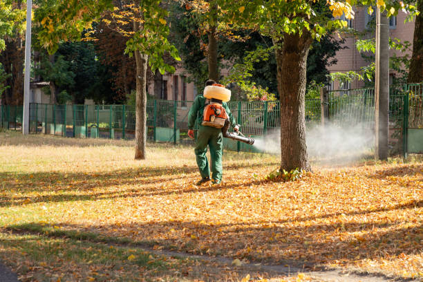 Best Best Pest Control Companies  in Maury, NC