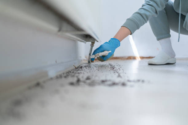 Best Residential Pest Control  in Maury, NC